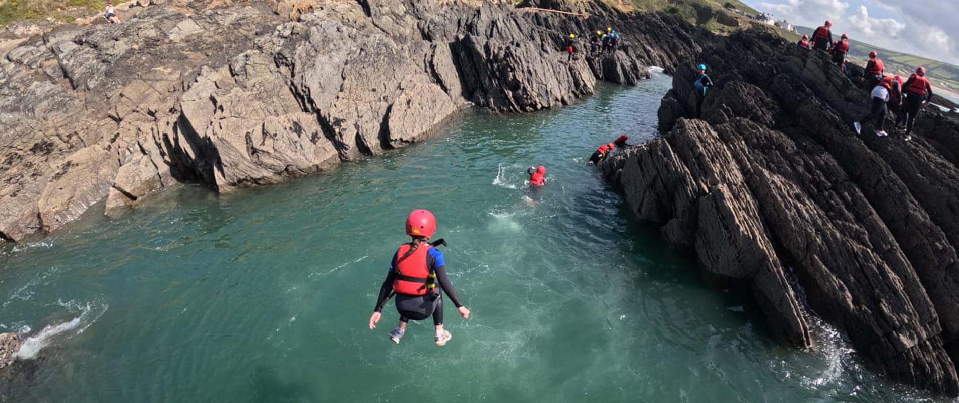 Tree Surgeons Dorking, Reigate, Surrey