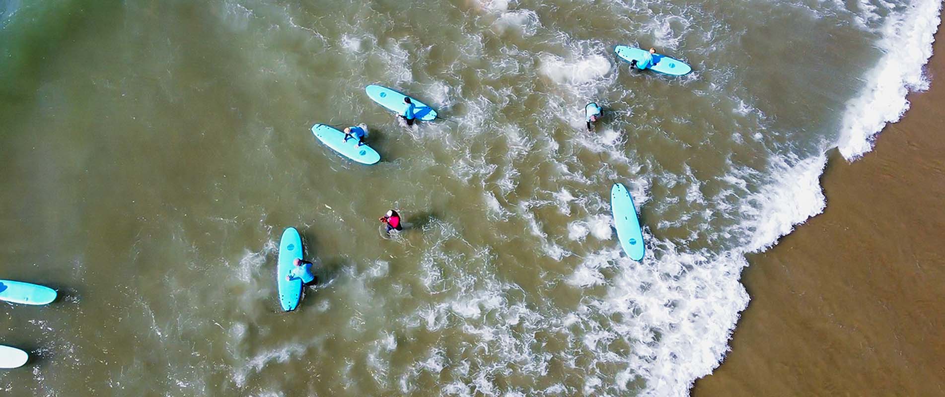 Tree Surgeons Dorking, Reigate, Surrey