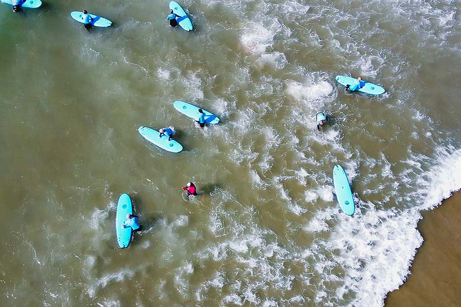 Tree Surgeons Dorking, Surrey